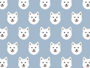 Samoyed Pet Blanket
