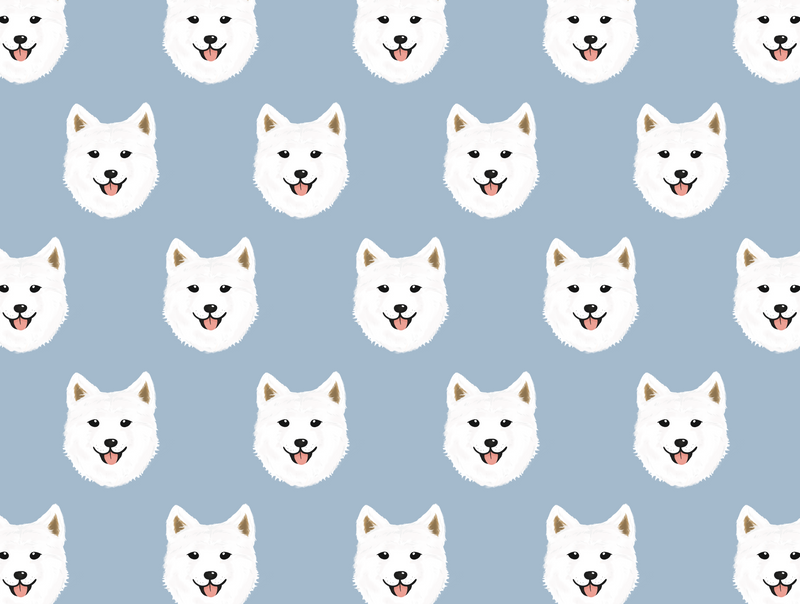 Samoyed Pet Blanket