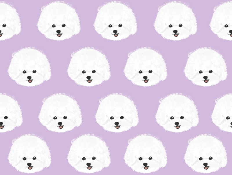 Bichon Pet Blanket