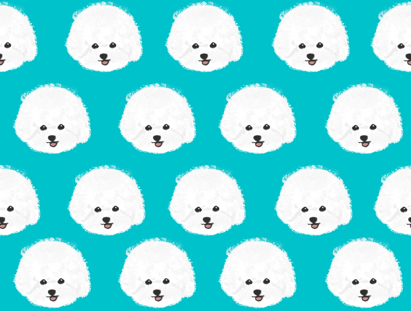 Bichon Pet Blanket