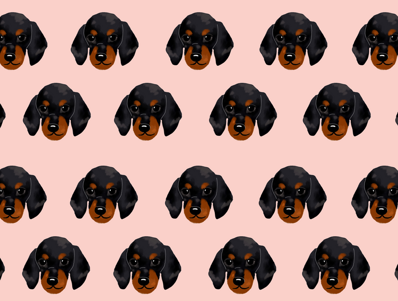 Dachshund Pet Blanket