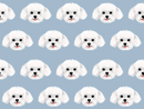 Maltese Pet Blanket - Medium