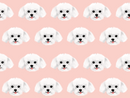 Maltese Pet Blanket - Medium