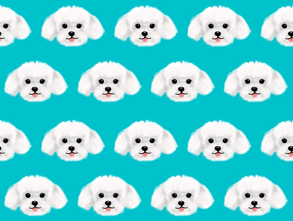 Maltese Pet Blanket - Medium