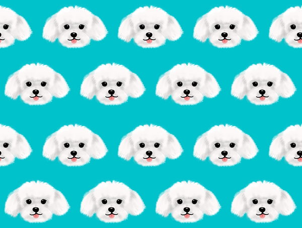 Maltese Pet Blanket