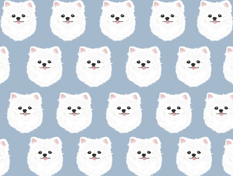 White Pomeranian Pet Blanket
