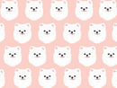 White Pomeranian Pet Blanket