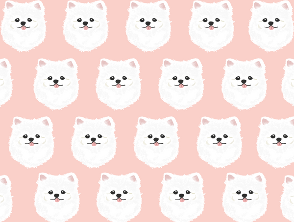 White Pomeranian Pet Blanket