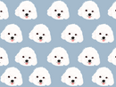 White Poodle Pet Blanket