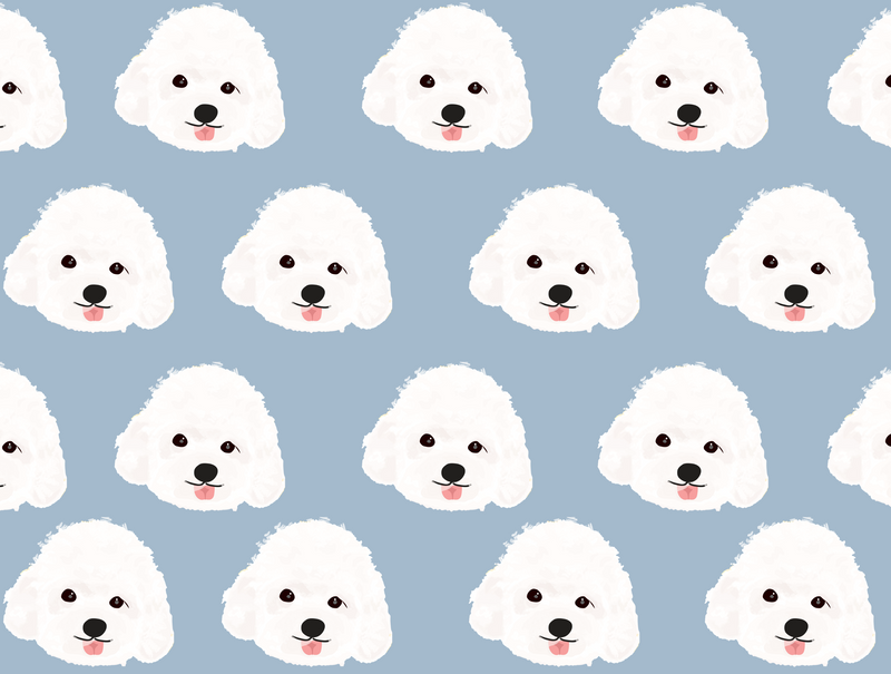 White Poodle Pet Blanket