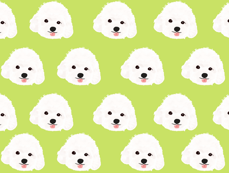 White Poodle Pet Blanket
