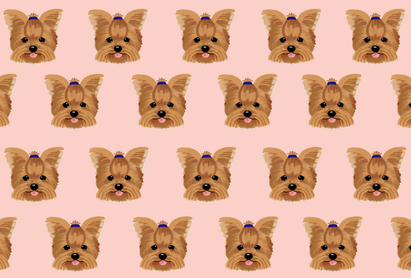 Yorkie Pet Blanket