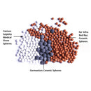 Grooming Shower Head