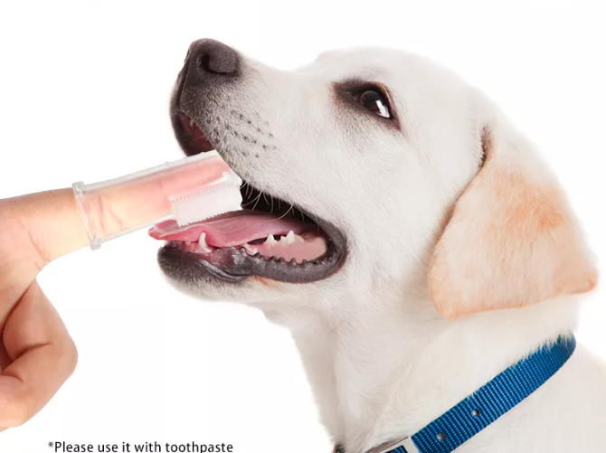 Silicone Finger Toothbrush