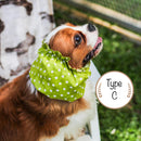 Snoods for Dogs [All Size]