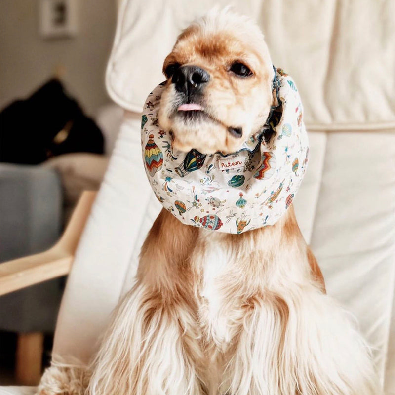 Snoods for Dogs All Size
