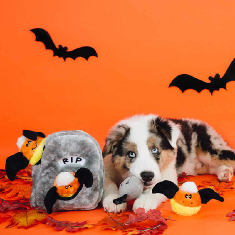 Halloween Burrow - Spooky Gravestone Dog Toy