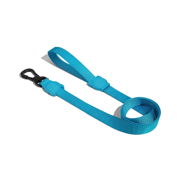 Ultimate Blue Leash