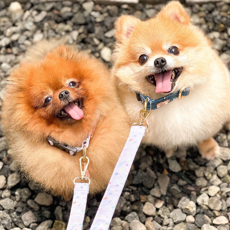 Forest Coupler Double Leash For Dogs