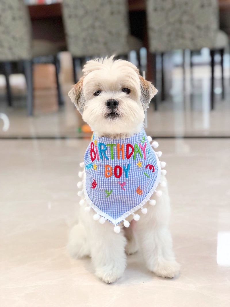 The Birthday Scarf Bundle For Dogs