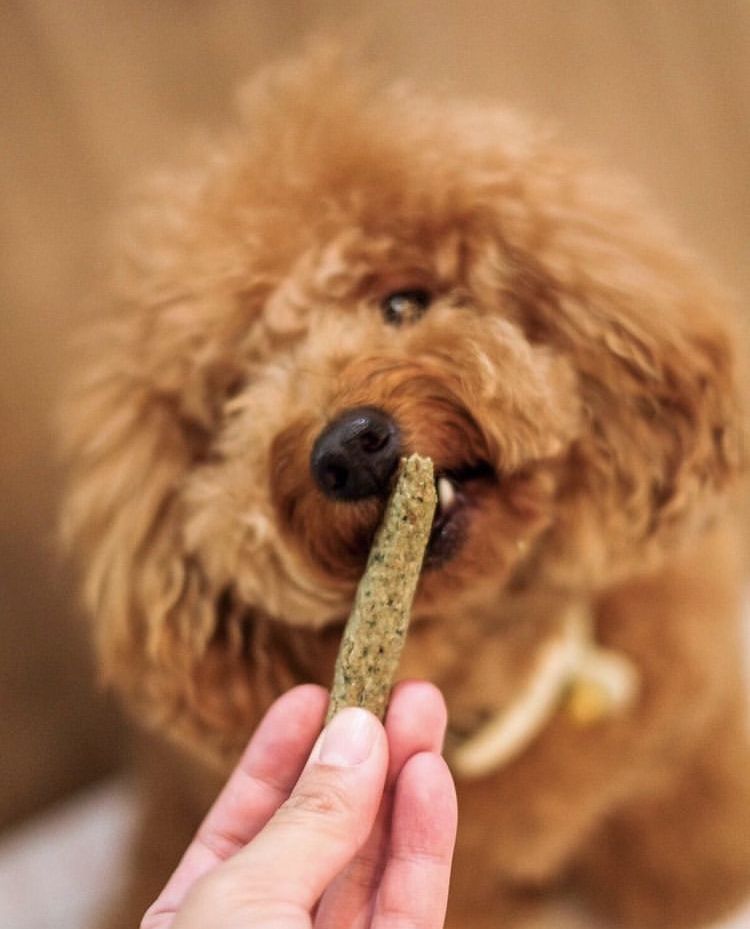 Super Chews Whole Seed Dog Treats