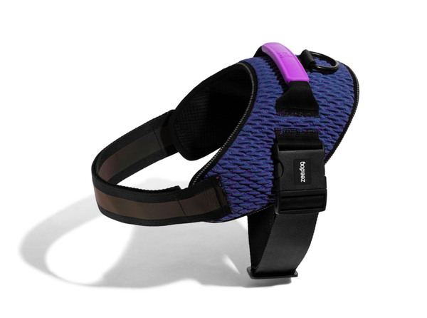 Wicked Fly Harness