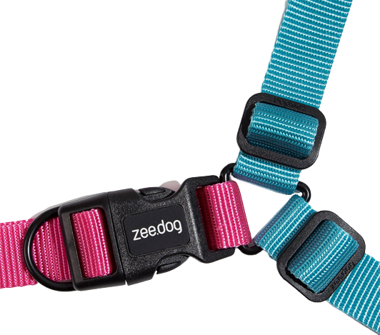 Hydra Soft-Walk Harness