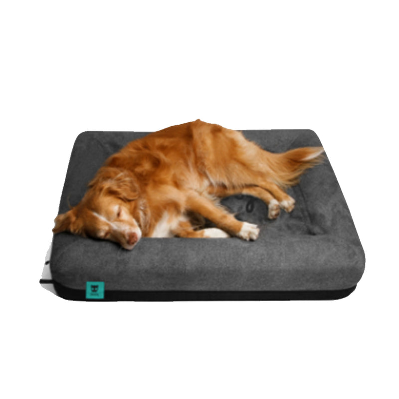 Dog Bed Zee Logo