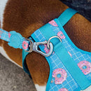 Homer Air Mesh Plus Harness