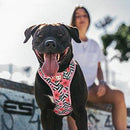 Mahalo Air Mesh Plus Harness