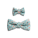 Marrakesh Marcuch Bowtie
