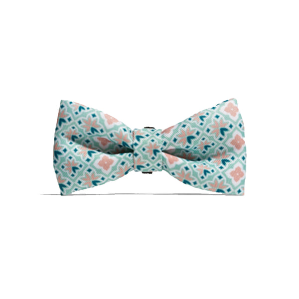 Marrakesh Marcuch Bowtie