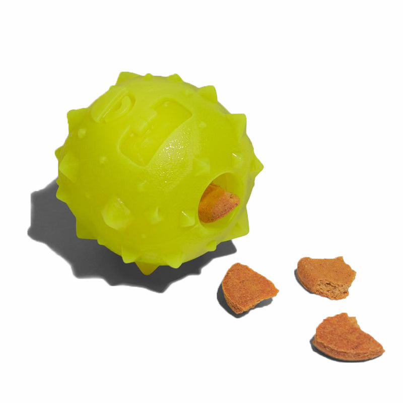 Rob The Microbe Dog Toy