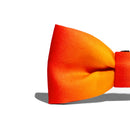 Gradients Solaris Bowtie