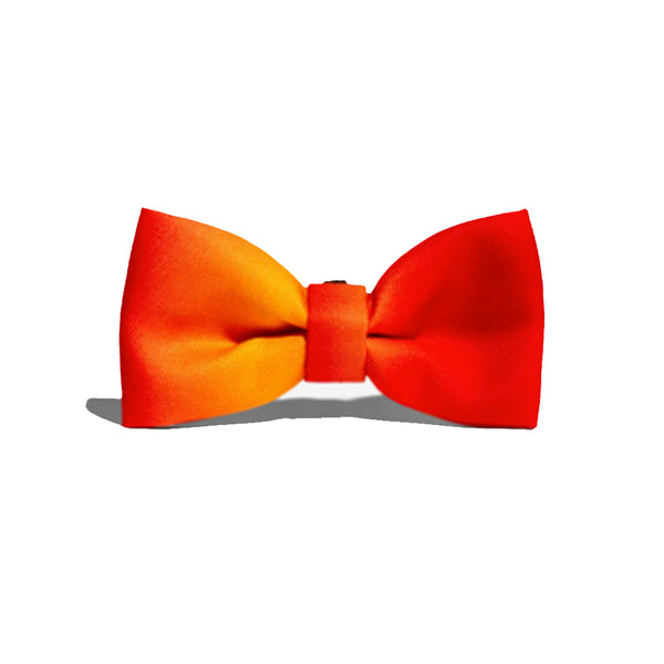 Gradients Solaris Bowtie