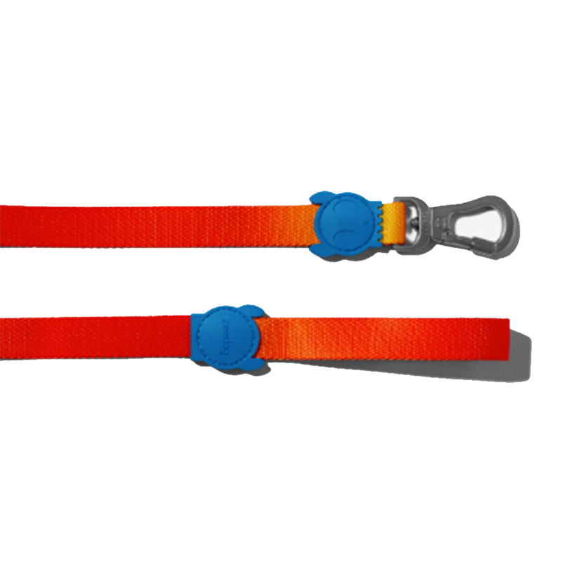 Gradients Solaris Leash