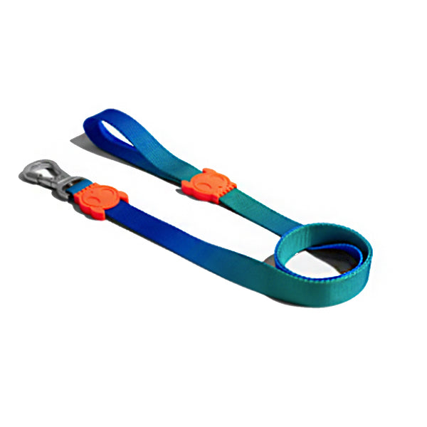 Gradients Tide Leash