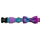 Gradients Wave Bowtie