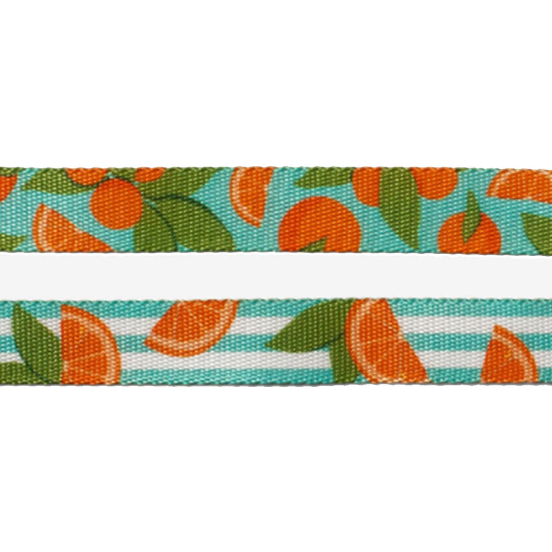 Florida Leash