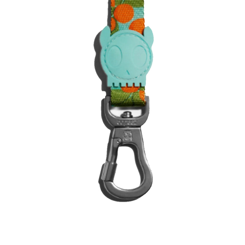 Florida Leash
