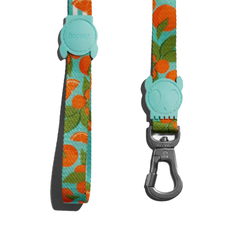Florida Leash
