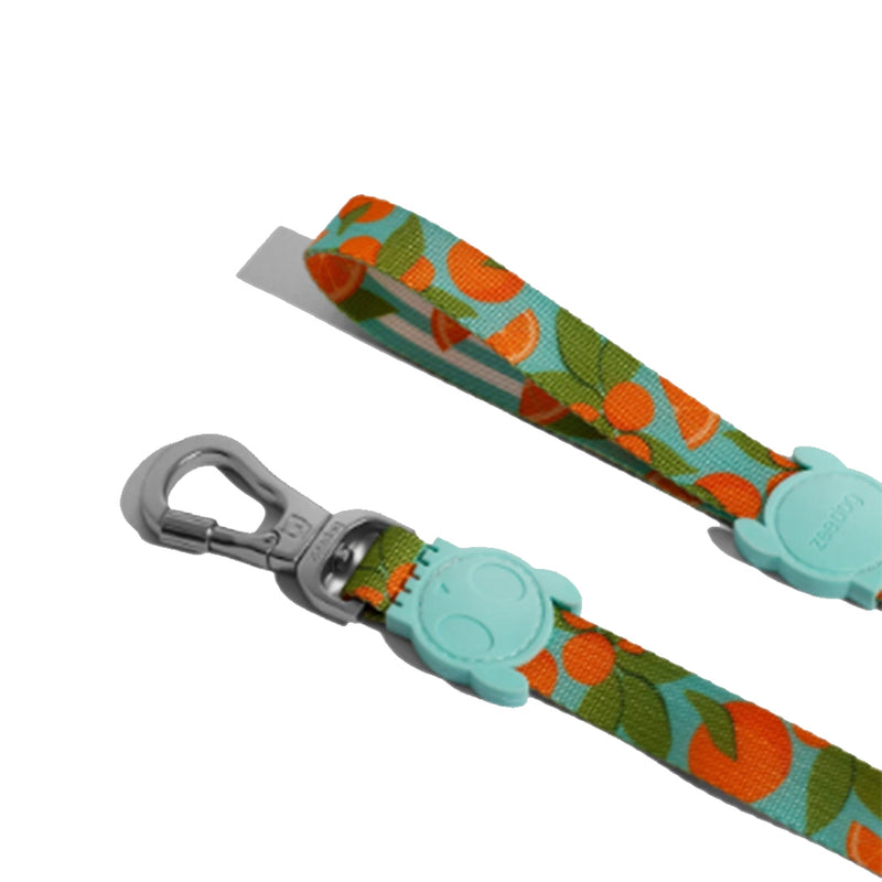 Florida Leash