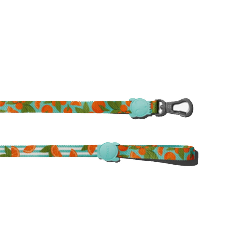 Florida Leash
