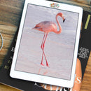 Webcam Privacy Sticker