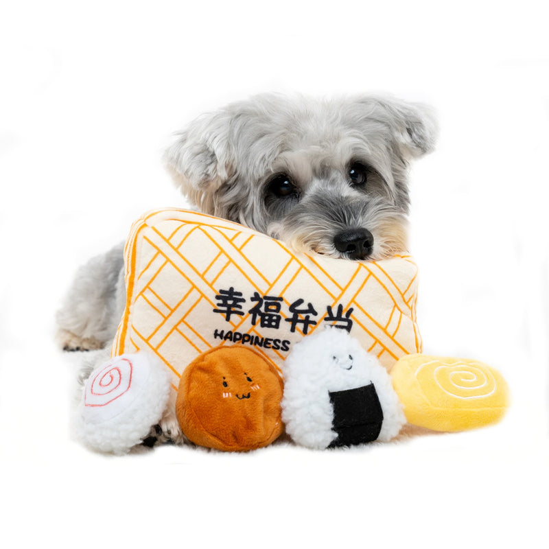 Hide N Seek  – Happiness Bento Dog Toy