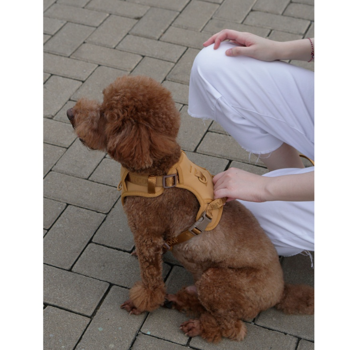 Wear Woof Brown Harness