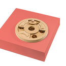 Slide & Search Pizza Dog Toys