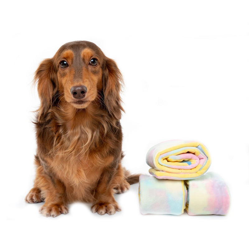 Hide N Seek  – Rainbow Swissroll Dog Toy