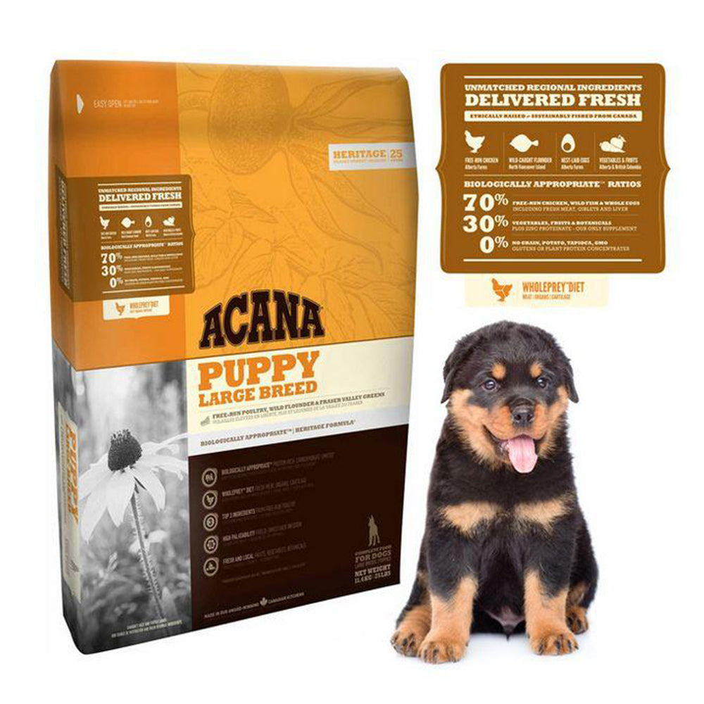 Acana large breed online junior