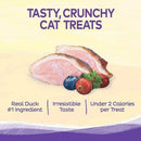 Complete Health Kittles Duck & Cranberries Recipe Crunchy Cat Treats